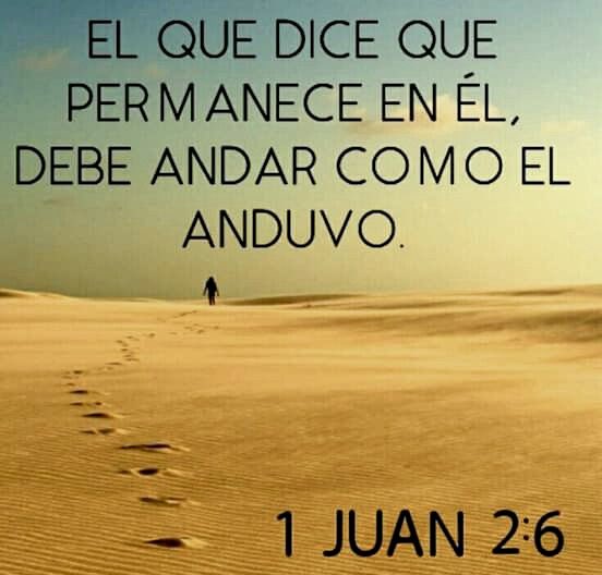 antuliogcg's tweet photo. https://t.co/6oL4BCZpBl
