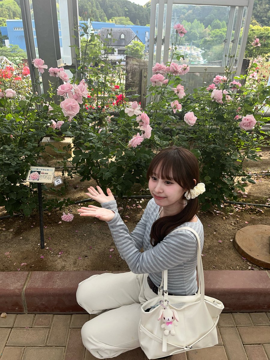 Inari0611's tweet photo. この前行ったバラの丘公園ほんと綺麗だった🩷
このピンクの薔薇がお気に入りです🥰

 #被写体 #ポートレート #ななさく撮影会 https://t.co/sl6k7QVd3N