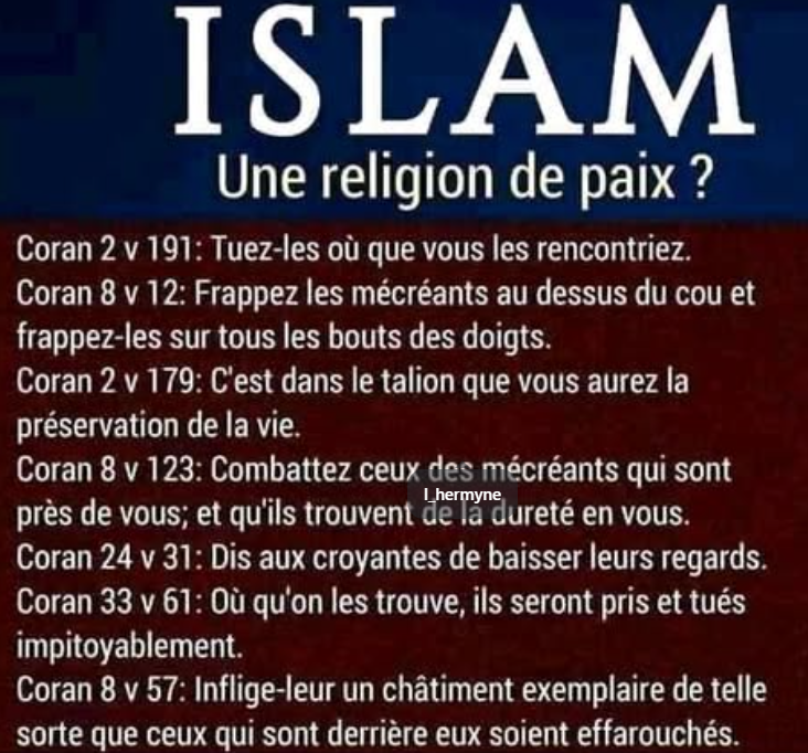Chevalier_Levis's tweet photo. @micheltrudeauc1 Est-ce que ça c'est du discours haineux pour un musulman? https://t.co/Daw9HyDU2k