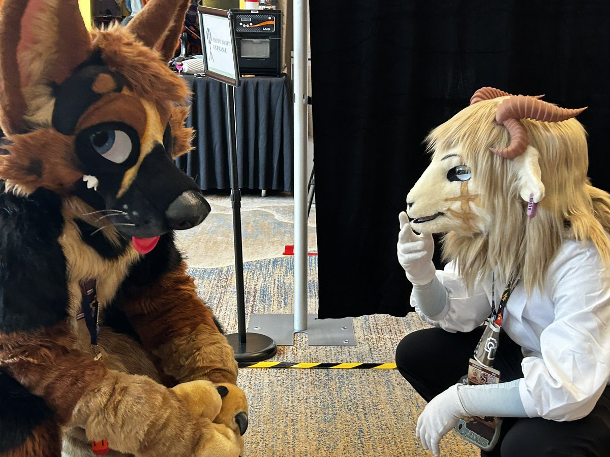 Oreolis_'s tweet photo. discussing livestock herding strategies

#fursuit #fursuitfriday #LIFC2026 https://t.co/ImIInNkXyl