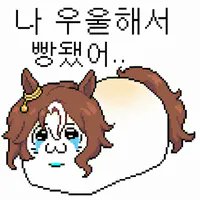 둘기 tweet media