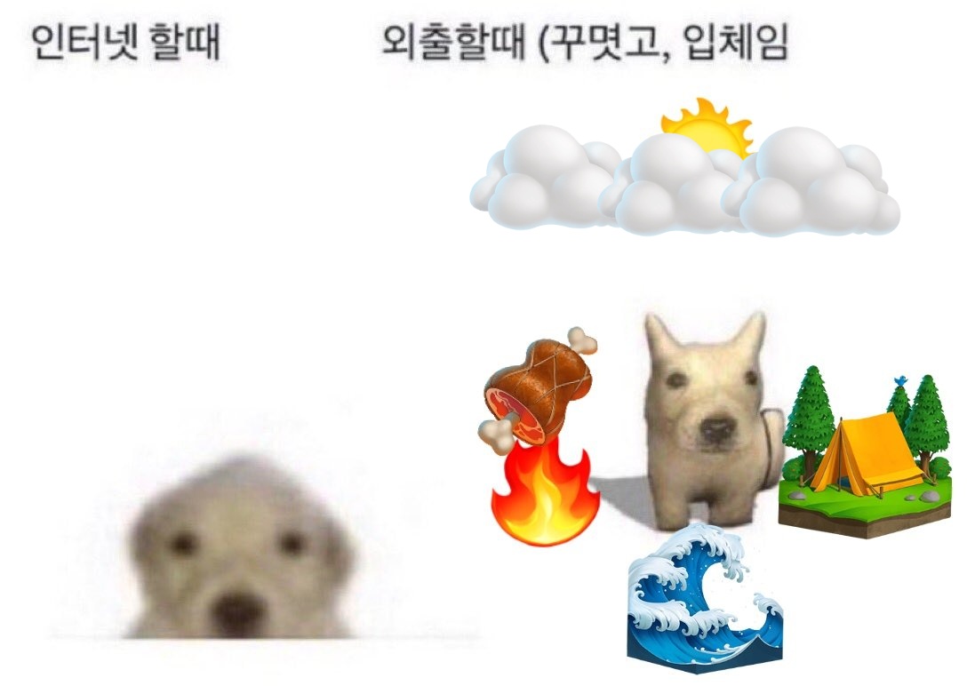 솔💮 tweet media