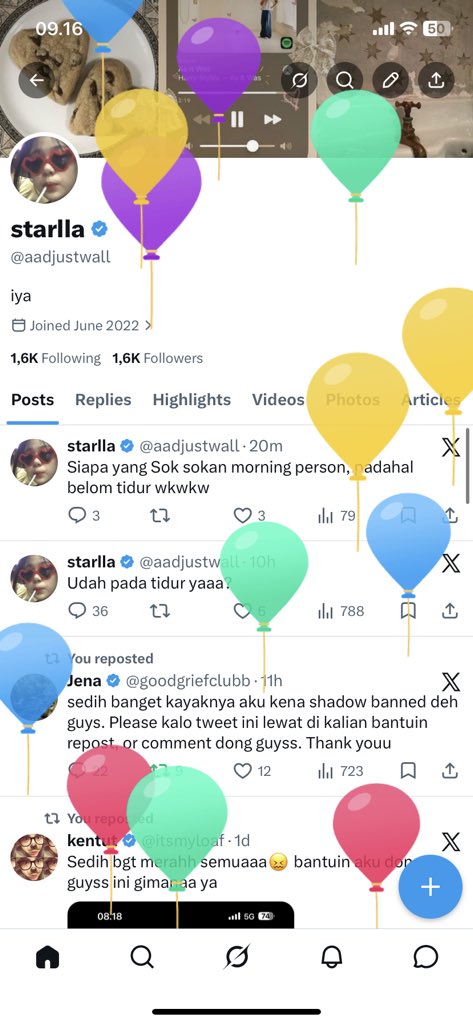 starlla tweet media