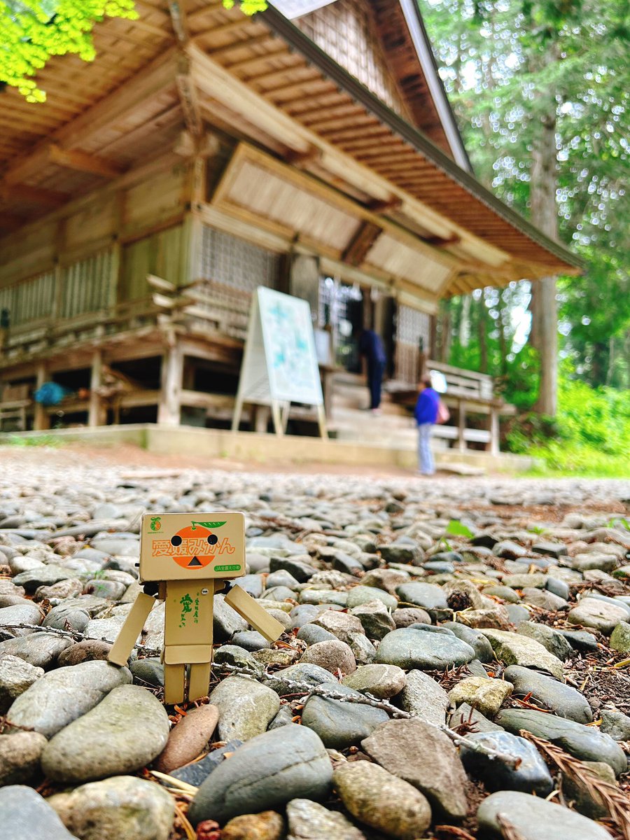 insmkn's tweet photo. 宝光社から神道を歩いて約20分。火之御子社に到着。こちらは無人なので御朱印は次の中社でもらいます。境内には樹齢500年の夫婦杉。

#戸隠神社 #長野市
#ダンボー https://t.co/SbQrT921gW