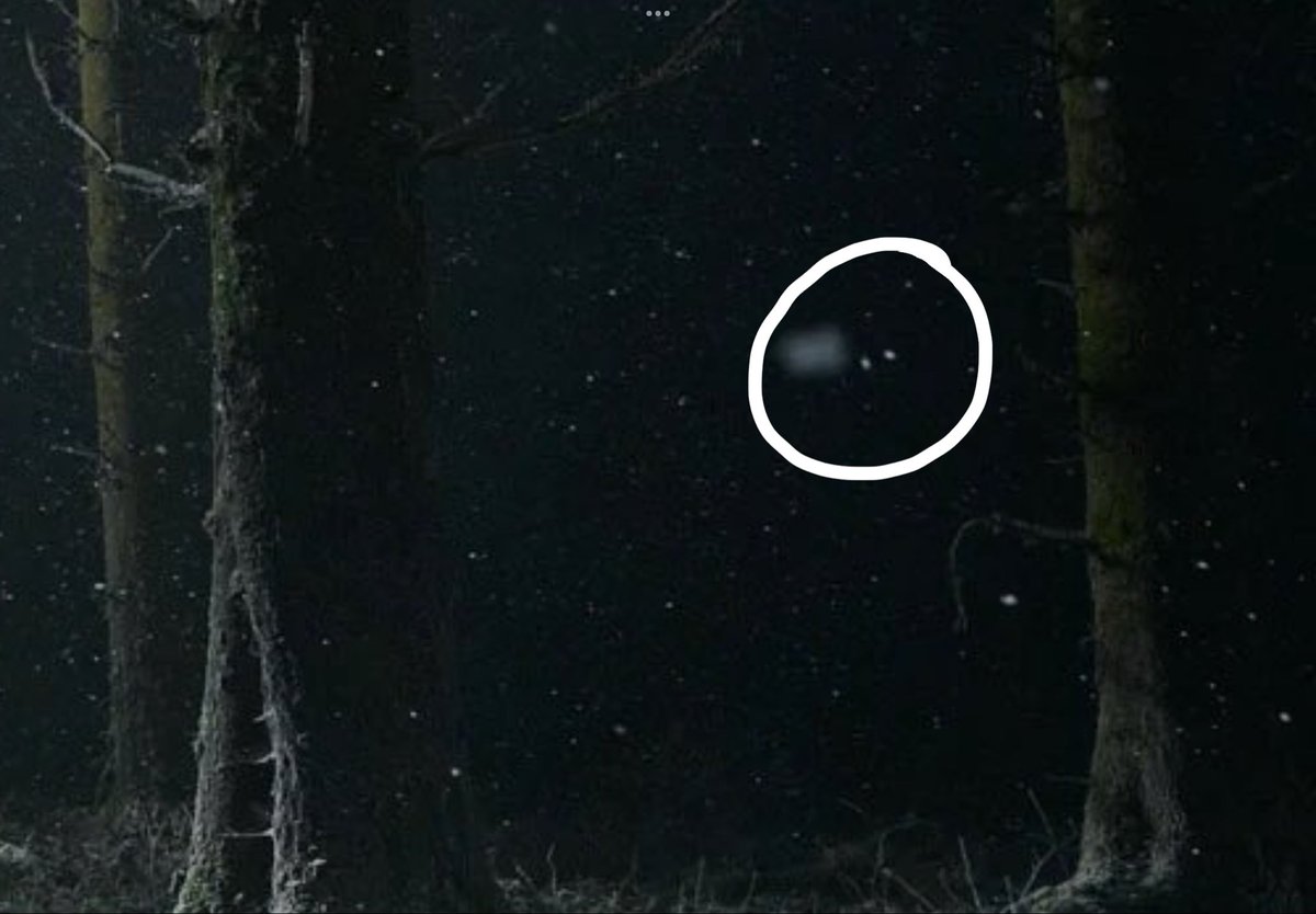 thekidyn's tweet photo. thought it was a hidden first look at a scary furball only to realize my eyes were playing tricks on me https://t.co/wjuogO7H0m