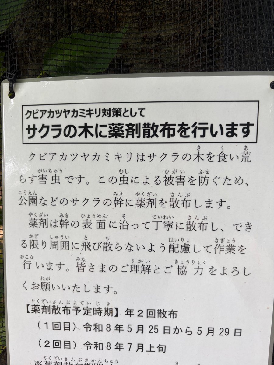 インコネル tweet media