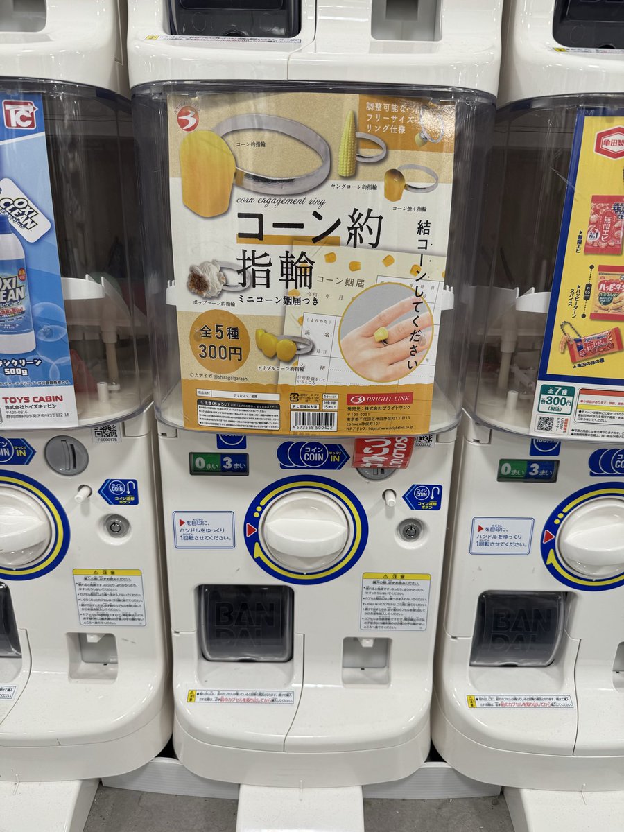 nebibibi's tweet photo. @zonzon___ 先ほどガチャパトロールしていたらまさかの遭遇…
まだまだ人気のご様子です…大変困惑しております…流行ってたなんて言ってすみません…
現場からは以上です（´-`） https://t.co/5LLsILpwWf