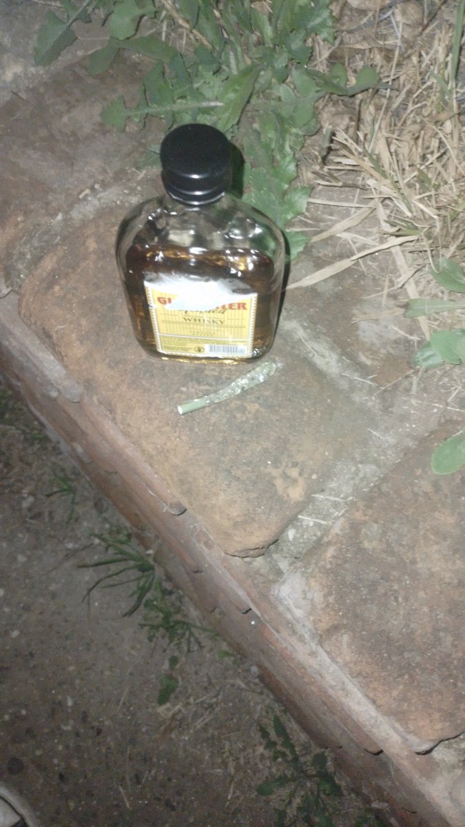 regordodericota's tweet photo. Receta para una buena noche

#alcoholtwt #weedtwt #drugtwt https://t.co/Y1qmfTX7V5