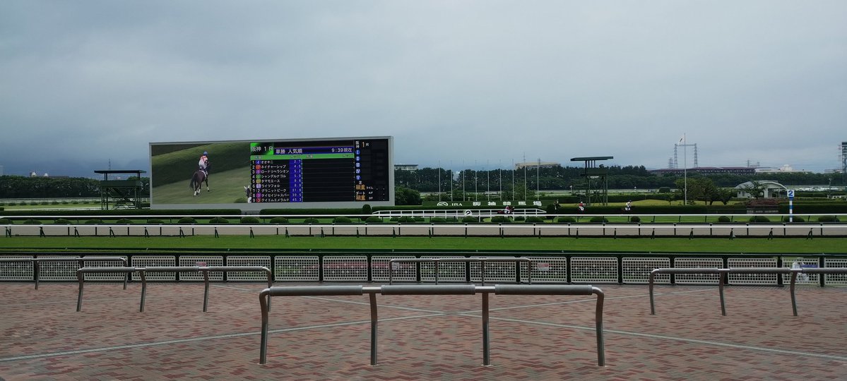 deathmasato's tweet photo. 競馬場たのしい https://t.co/xRL6RW6UGH