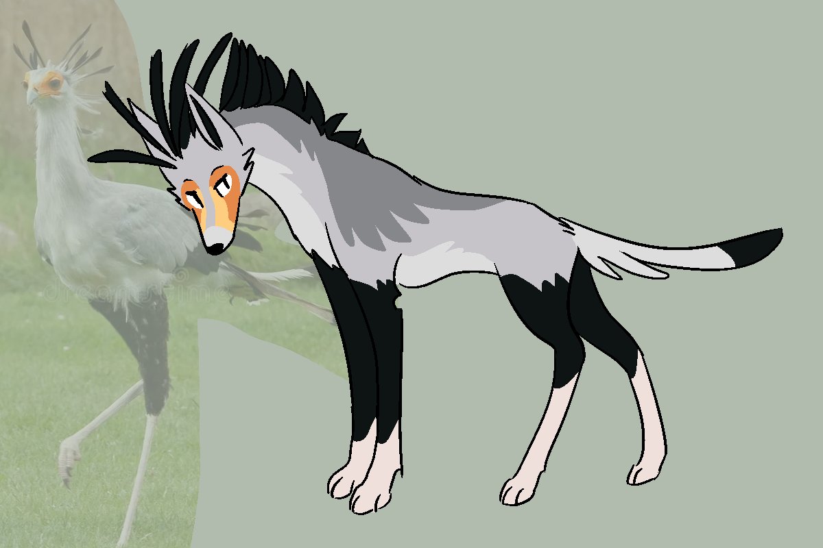 TheRoguez's tweet photo. secretary bird maned wolf https://t.co/0E8t2TdLdg