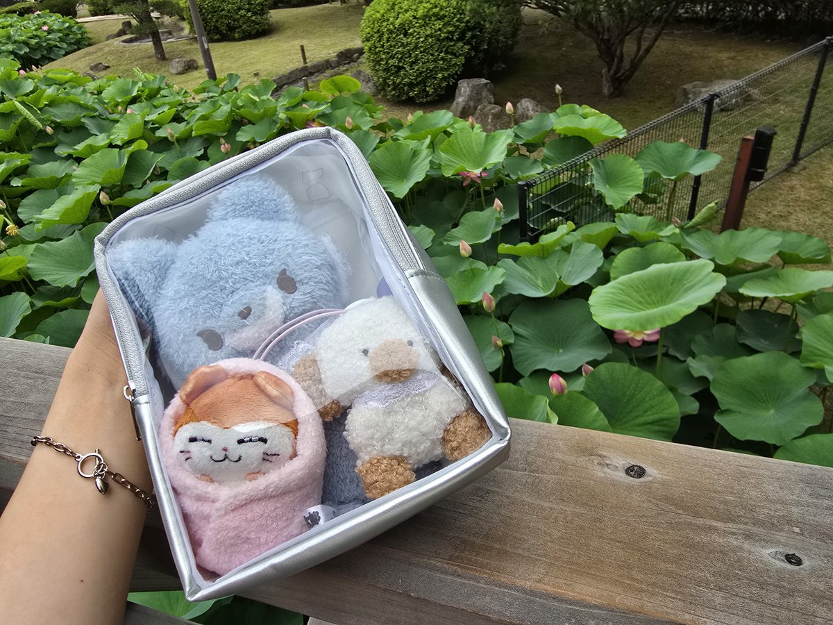 TuLvgn's tweet photo. 人間に大賀蓮を見に連れ回されるぬいぐるみの皆さん https://t.co/4XPNRT2Vpx
