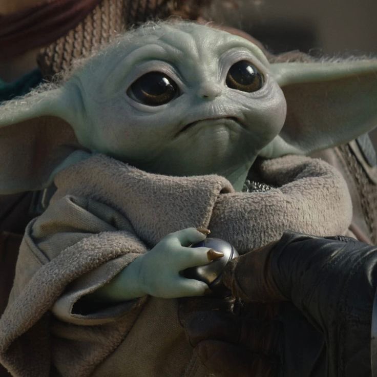 𝘋𝘦𝘢𝘳𝘫𝘯𝘦𝘸💚 tweet media