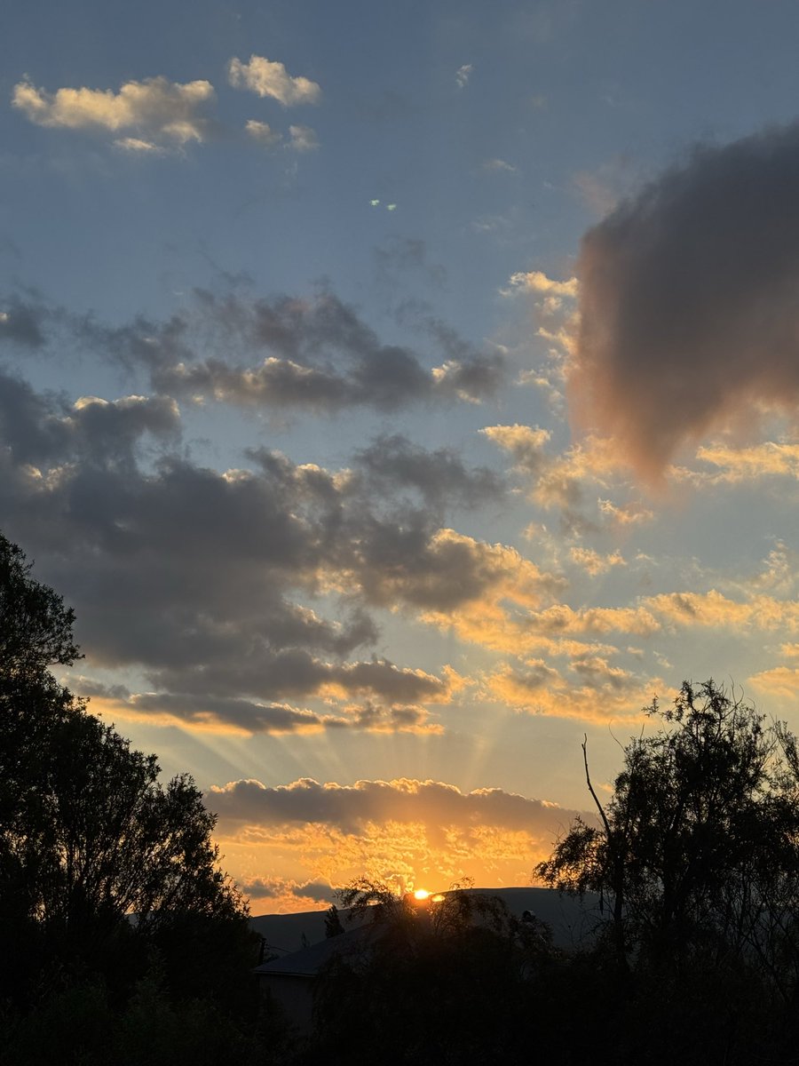 pinarkocccc's tweet photo. Günaydınnnnn ☀️ #kayseri https://t.co/l8HE4QuG0Z