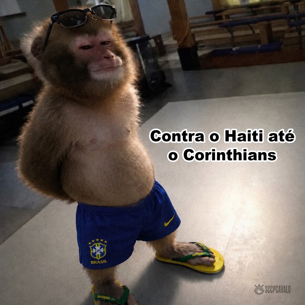 sccpcavalo's tweet photo. *Brasil ganha*

Meu pai automaticamente: https://t.co/q9kk8oxCaX