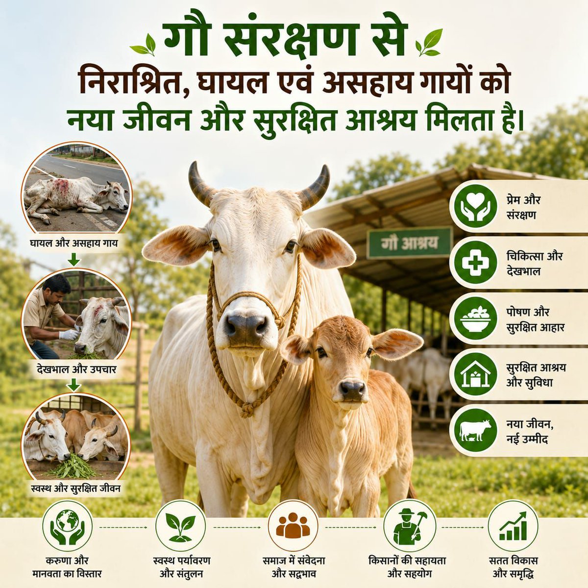 venus97484's tweet photo. #गौ_रक्षा_धर्म_हमारा
Gaye se dudh dahi or gomutra ka upyog vibhin karyo  mai  hota h https://t.co/uXqFqZpTzN