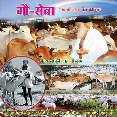 prachiendwar's tweet photo. समाज में सुख शांति और आध्यात्मिक उन्नति के लिए गौमाता की सेवा अनिवार्य है।Sant Shri Asharamji Bapu का यह संदेश आज के समय में बेहद प्रासंगिक है।#गौ_रक्षा_धर्म_हमारा https://t.co/pFTD2cjIzE