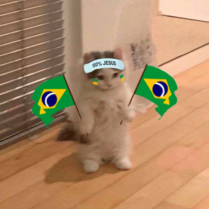 enderialy's tweet photo. @feeniewrght VAI BRASIL https://t.co/Z9xUDkScp0