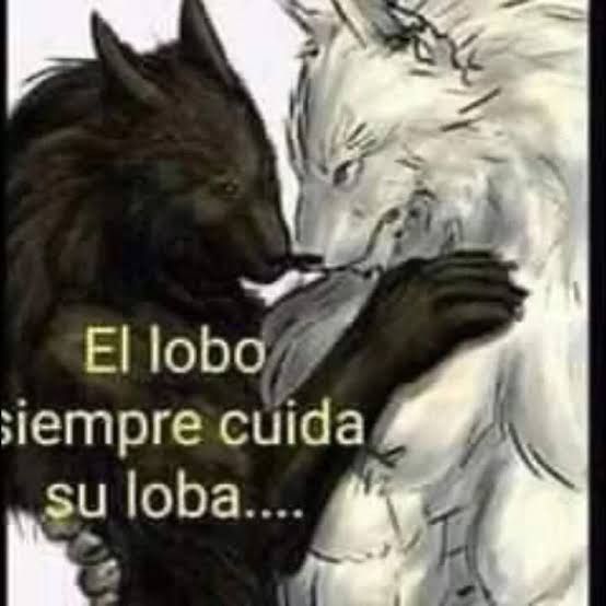 misse10101010's tweet photo. Lloro de la risa https://t.co/ky8Mnyukh3