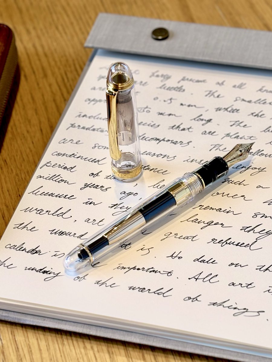 yuyu_ryuyr0212's tweet photo. #stationery 
プラチナ 3776 デモンストレーター https://t.co/HvBZbhyeCf