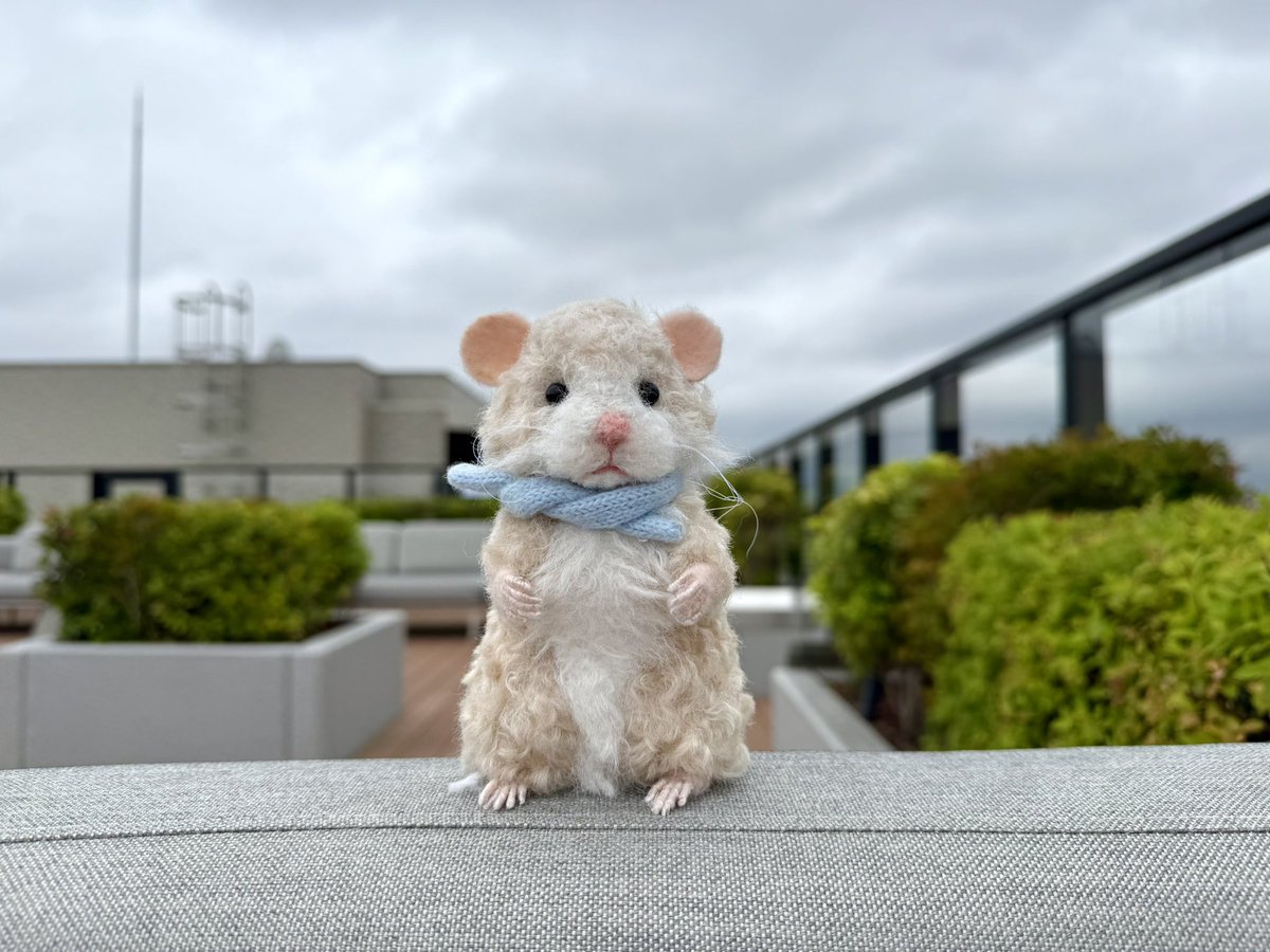 junjunamme's tweet photo. 新作のこむぎです🐹🥖

おっとりしていて、少し甘えん坊。
お姉ちゃんとお兄ちゃんがいる、末っ子のキンクマハムスターです。

小さなパンのかけらを見つけると、うれしそうにバスケットへ。
今日もピクニック気分で過ごしています🧺

minne にて家族募集中です🤍

#アートドール #ハムスターぬいぐるみ #ぬい活　#HandemadePlus