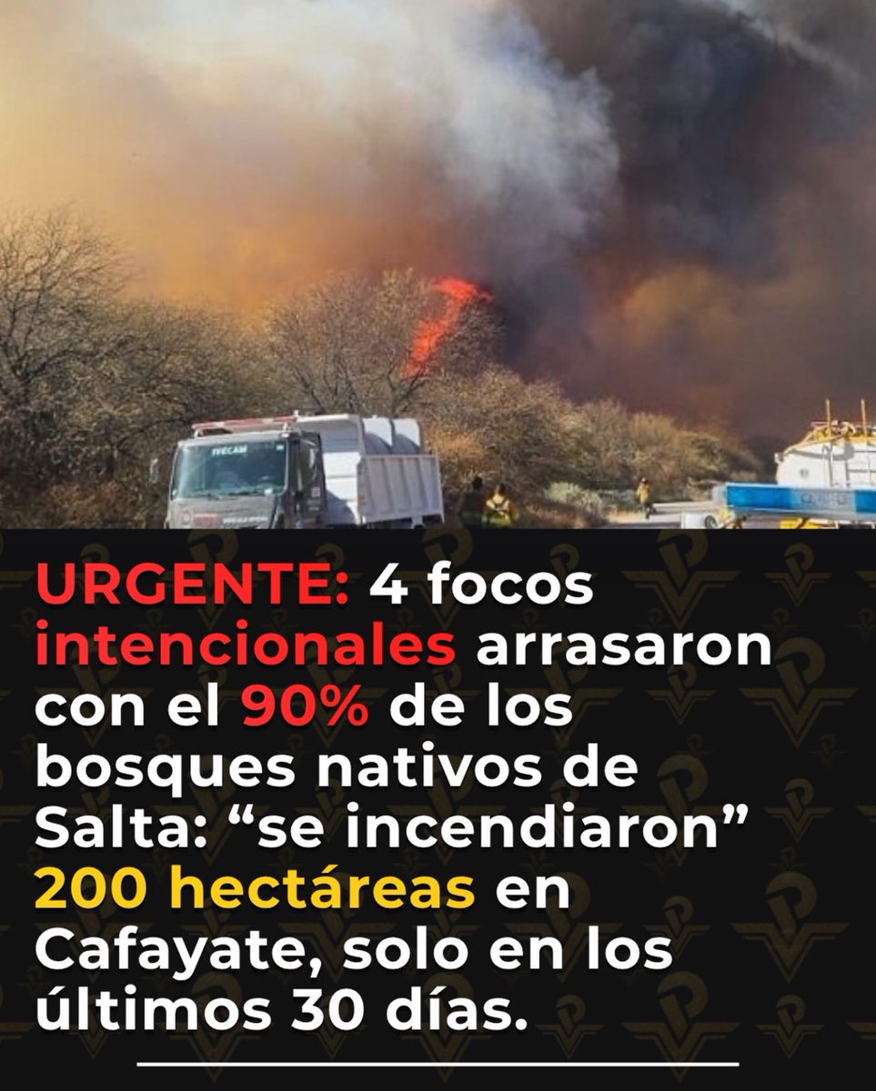tanycarrasco's tweet photo. Habrán pasado esos turistas a los que les gusta prender fuego por ahí?? https://t.co/NqSh5GvS12