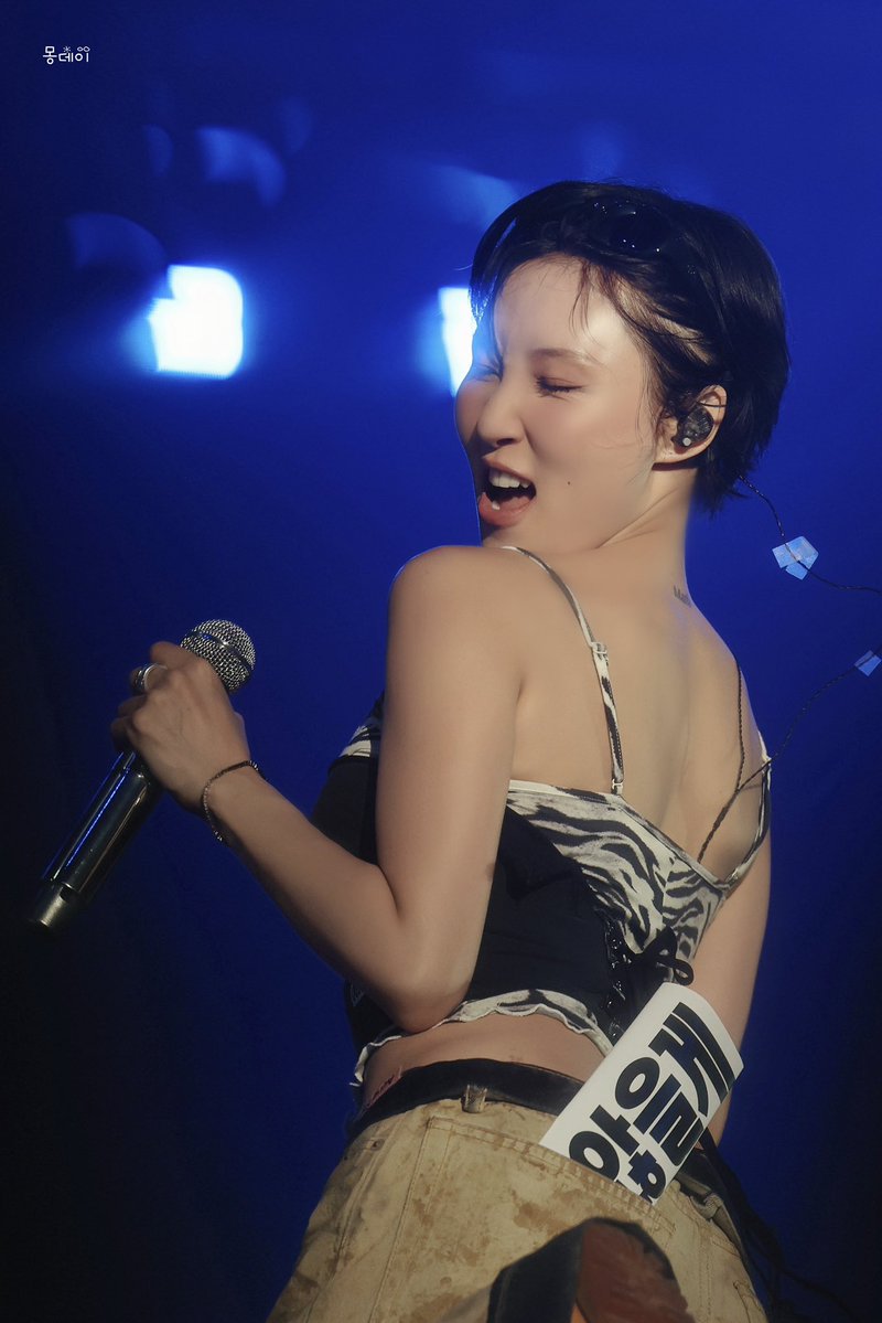 mondayblue__s's tweet photo. 260619 마마무 4WARD 서울 콘서트 첫콘

퀸화사🌹

#마마무 #화사
#MAMAMOO #HWASA https://t.co/SvvUiCx4No