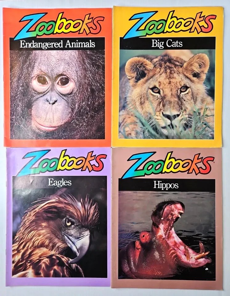PatrissimoMP4's tweet photo. why aren't we calling the tome zoroark deck zoobooks btw

am i the only one who remembers https://t.co/KP4Qn3DcQA