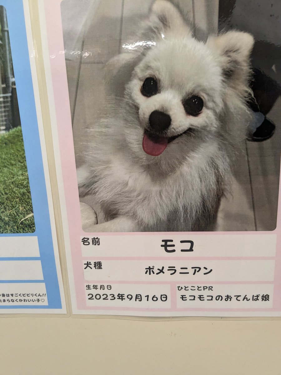 ﾓｺﾞﾁﾞｬﾝ！！