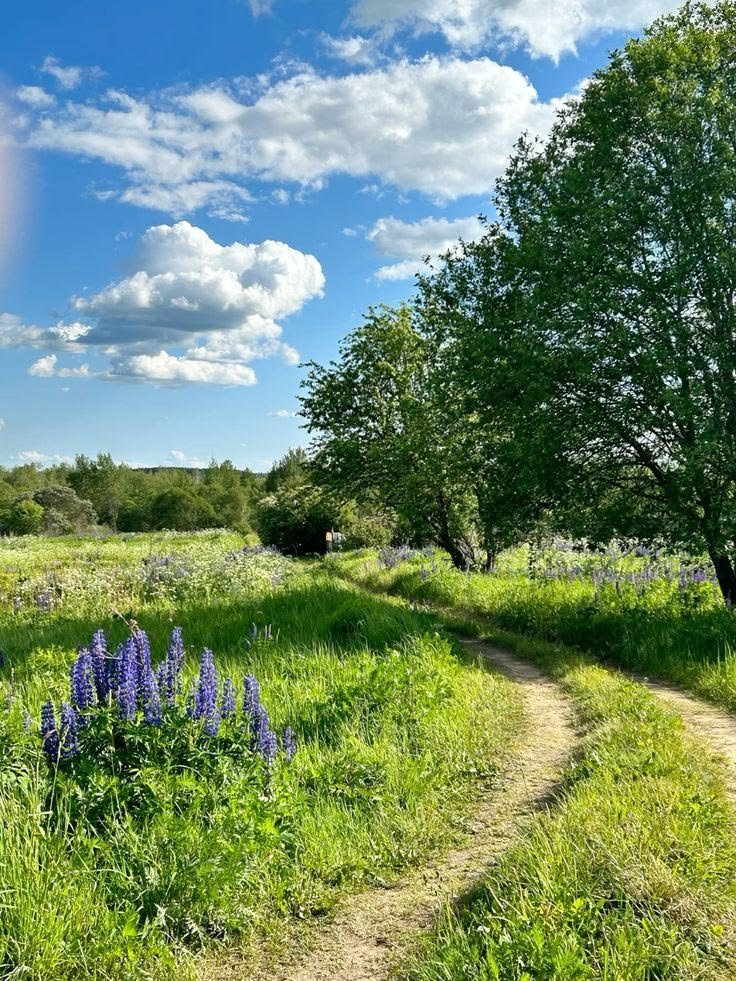 earthwhisperss tweet picture