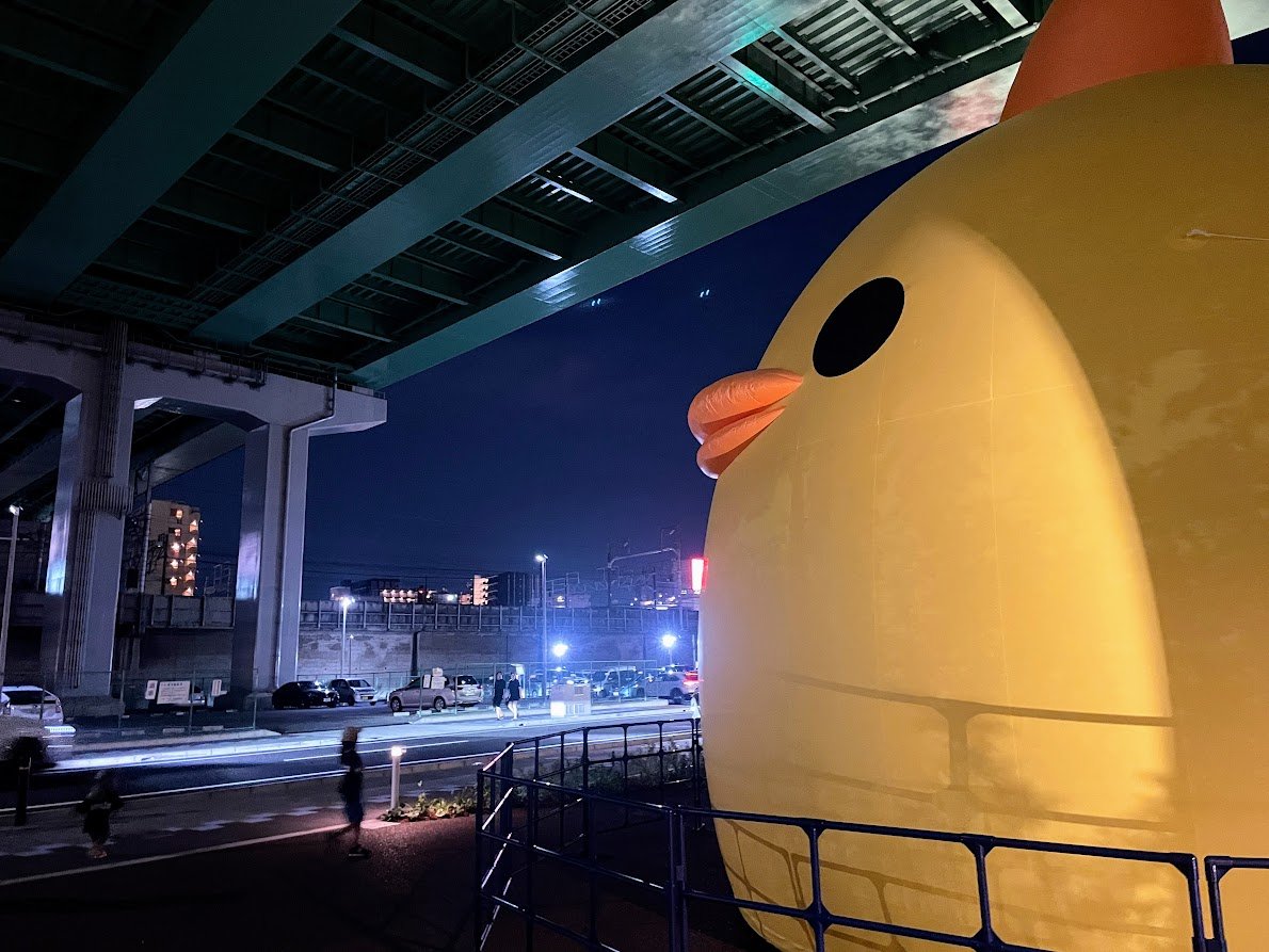 swind_prv's tweet photo. 昨日のぴよりん「新幹線来ないな……」 https://t.co/Sscr1Do1Wj