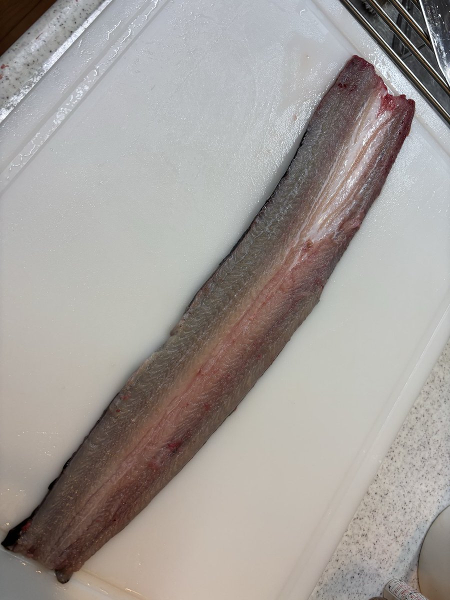 SSRmakoto's tweet photo. 釣ってから食べるまで色々と拘りを持って楽しめるコスパ最強の釣り🎣 https://t.co/NObfcir3V9