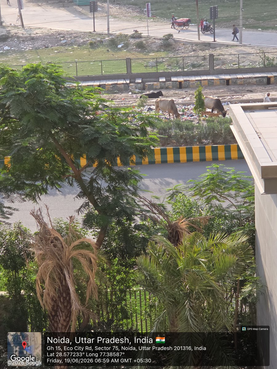 ivycounty75's tweet photo. @CeoNoida @dmgbnagar @MoHUA_India @noida_authority @InduPrakashPCS @CMOfficeUP @CPCB_OFFICIAL पिछले 3-4 दिन से IVY County, सेक्टर 75  के सामने वाली रोड से Garbage नहीं उठ रहा है | आपसे अनुरोध है कृपया इसपर कारवाई करे| https://t.co/wsDBwkkNrx