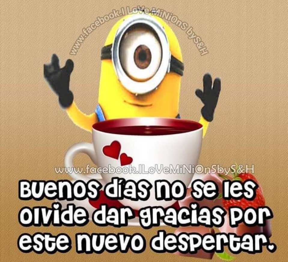 minions7u7's tweet photo. https://t.co/znE4L9jmjF