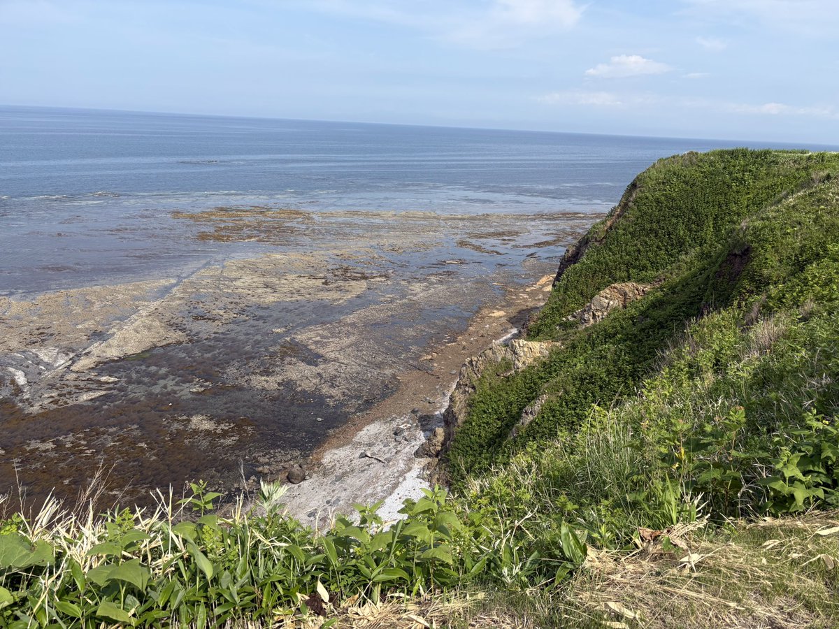 jopsia's tweet photo. 網走市内で一番の好きな場所が、能取岬である。能取岬灯台は、大正6年(1917年)竣工した北海道で一番古い、鉄筋コンクリート造の灯台である。子供の頃は、崖下に降りて浅瀬で遊んでいた。懐かしい場所でもある。普段は海がない県に、住んでいるので、雄大なオホーツク海の海風と、浜の匂い、波の音によって懐かしい気持ちが湧き上がってくるのである。
