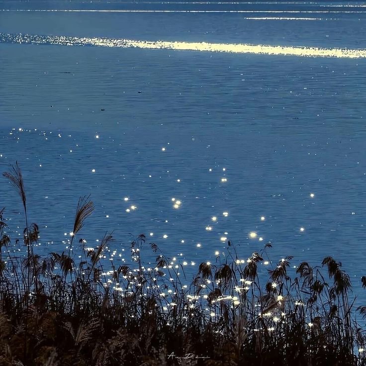 gardeniavibe's tweet photo. i see stars dancing on the waves https://t.co/1qj645IZFF