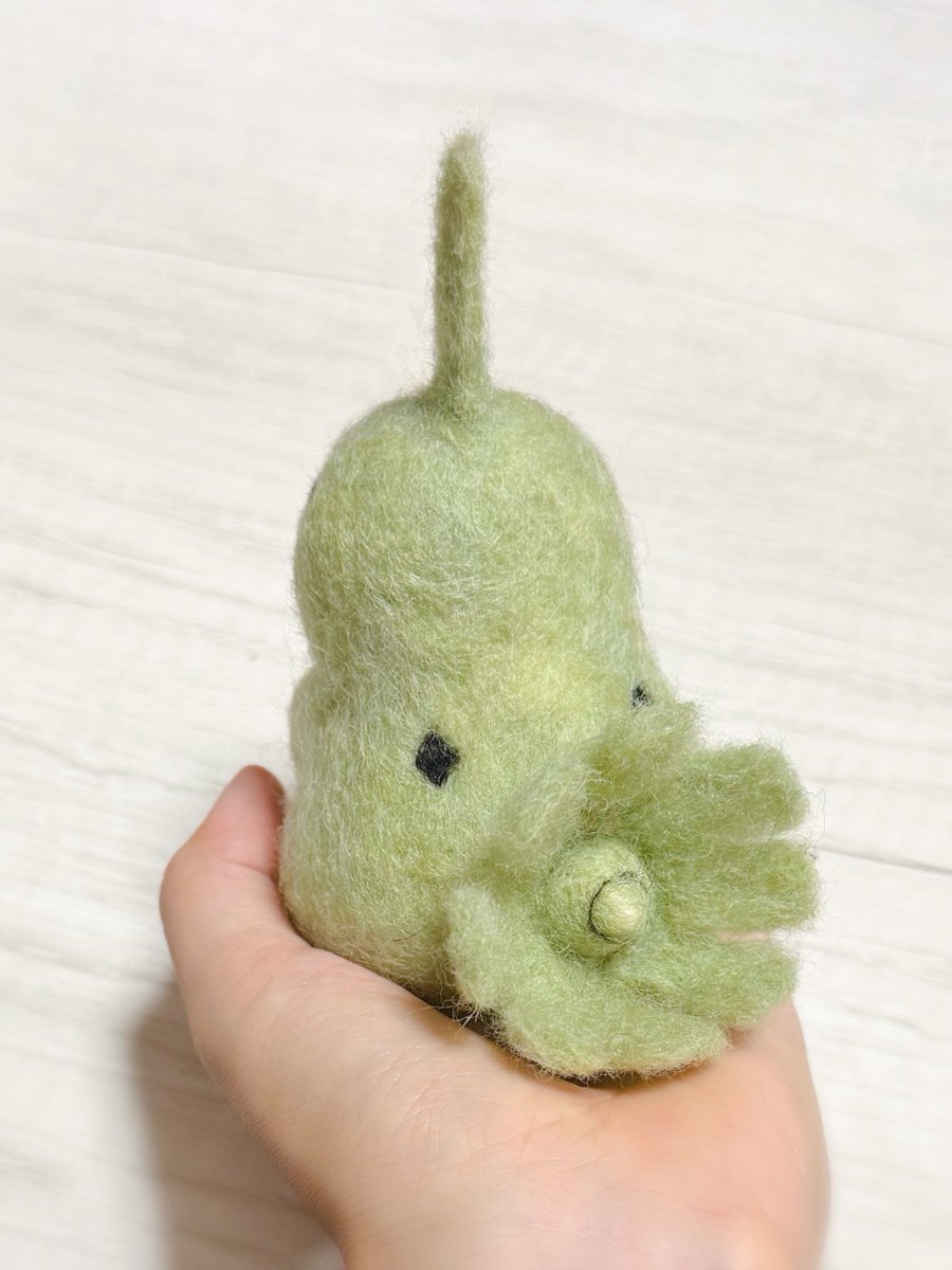bsaa_com's tweet photo. かわヨーギラス https://t.co/HJlMvXIMfB