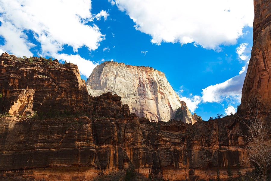 exploreimran's tweet photo. The Great White Throne
At nearly 2,400 feet above the canyon floor, the Great White Throne is Zion's most recognizable peak the kind of formation that makes every car on the Scenic Drive slow down. 
#GreatWhiteThrone #ZionNationalPark #Mighty5 https://t.co/cvQ2B4urt3