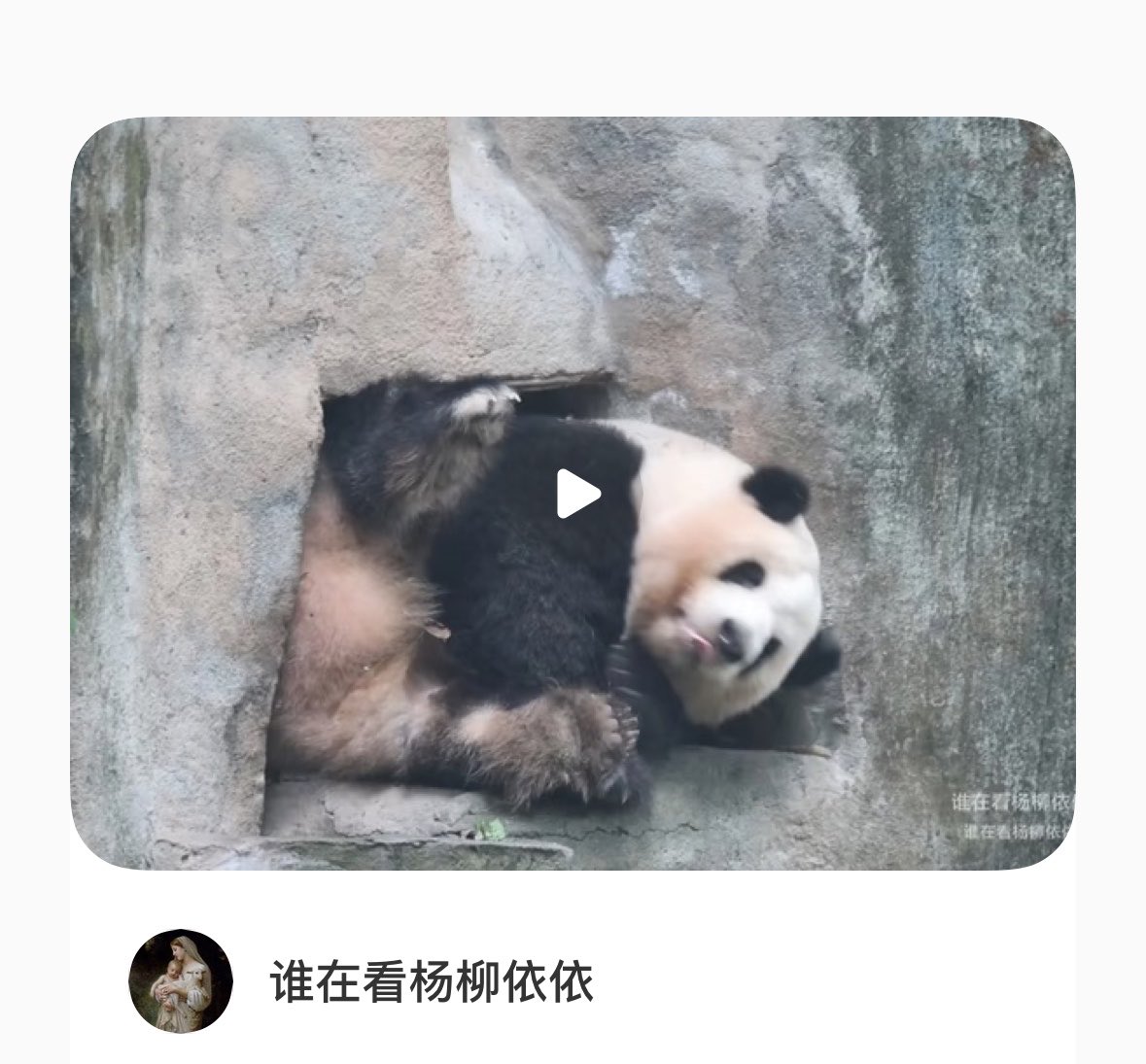 TFBOYS_Thailove's tweet photo. มันแน่นๆนะลูก🫠
https://t.co/wE2Khnly36 https://t.co/q1rHh2Rze0