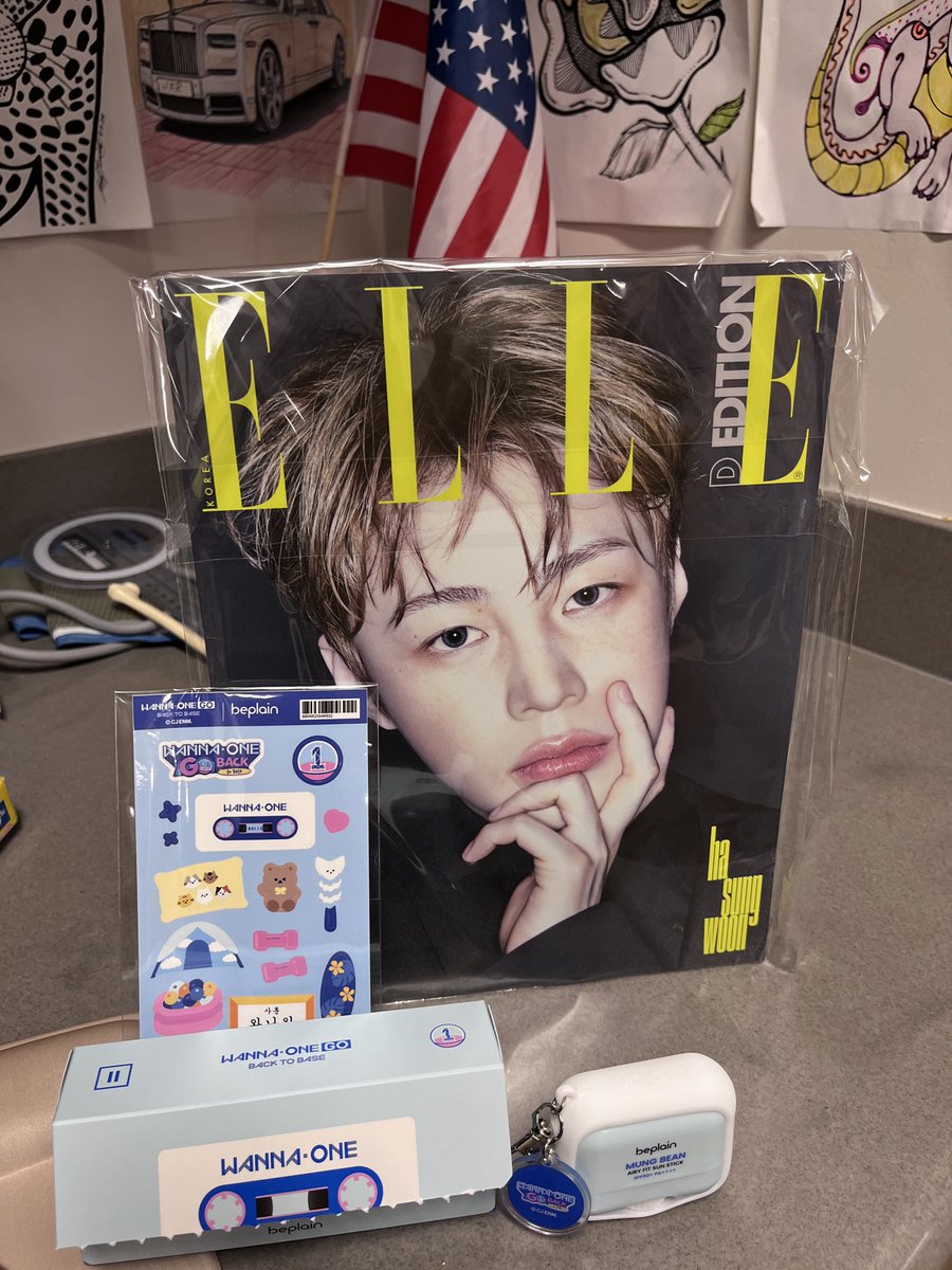 annaoliks's tweet photo. This beauty made it here and kept me company while being back to the grind ❤️ #WannaOne #HASUNGWOON #Wannable @gooreumseng KCONLA26, are you still coming? https://t.co/RQiEY8PmmH