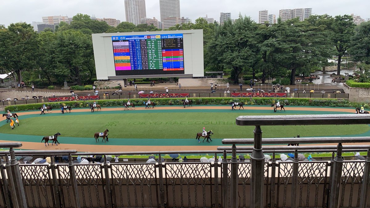chicory0083's tweet photo. パドックを上の方から https://t.co/bvnbcjdweh
