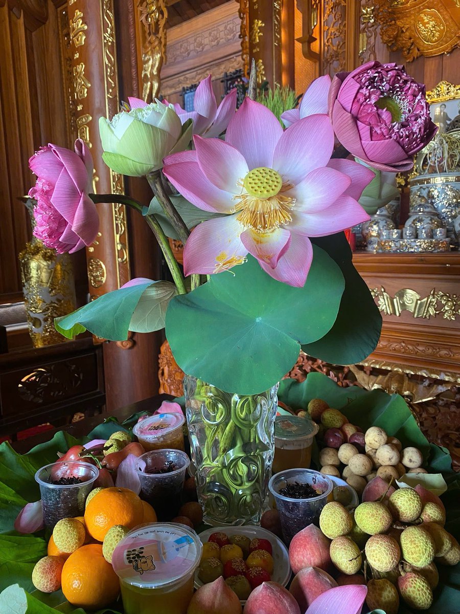 hanfinance's tweet photo. Can you identify the fruits on this platter? I spent the weekend making a platter for Vietnam's Cold Food Festival.
@dac_chain https://t.co/XTUFaudQn1