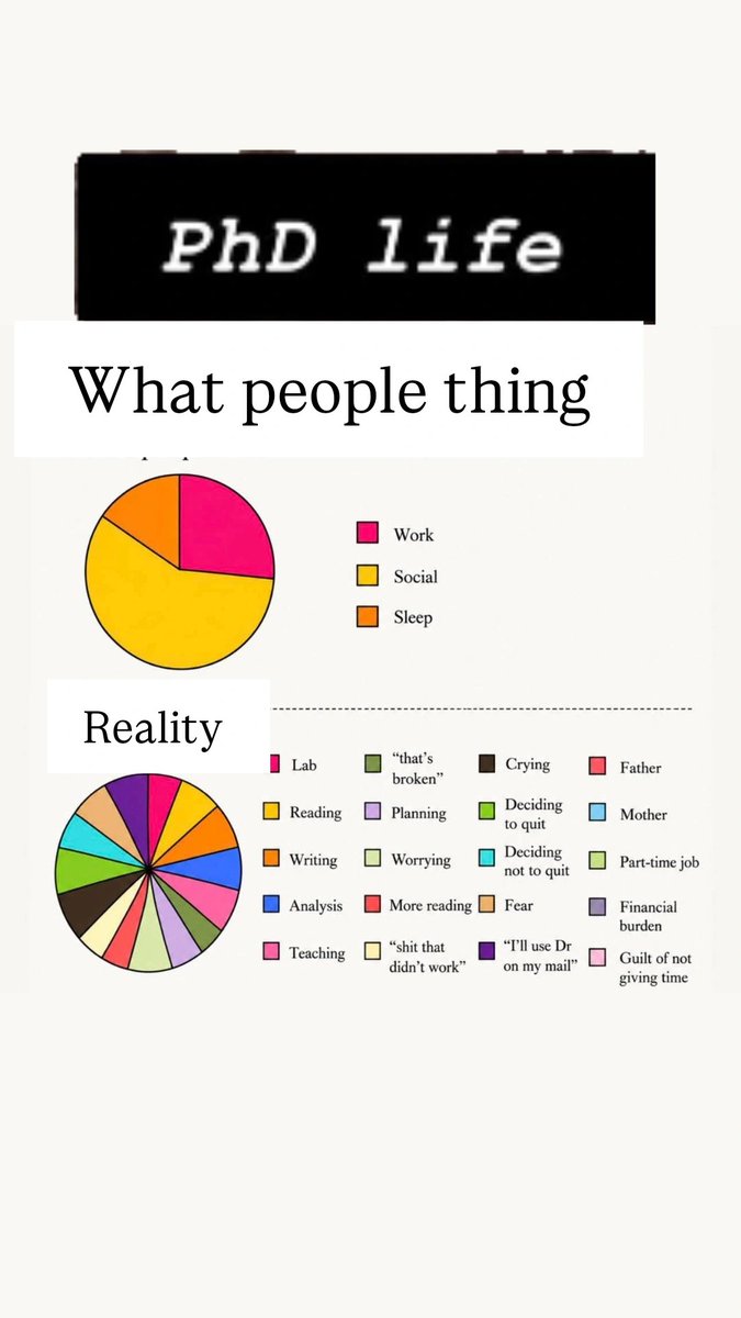sylotechnology's tweet photo. PhD life https://t.co/O0mMWy2uI1