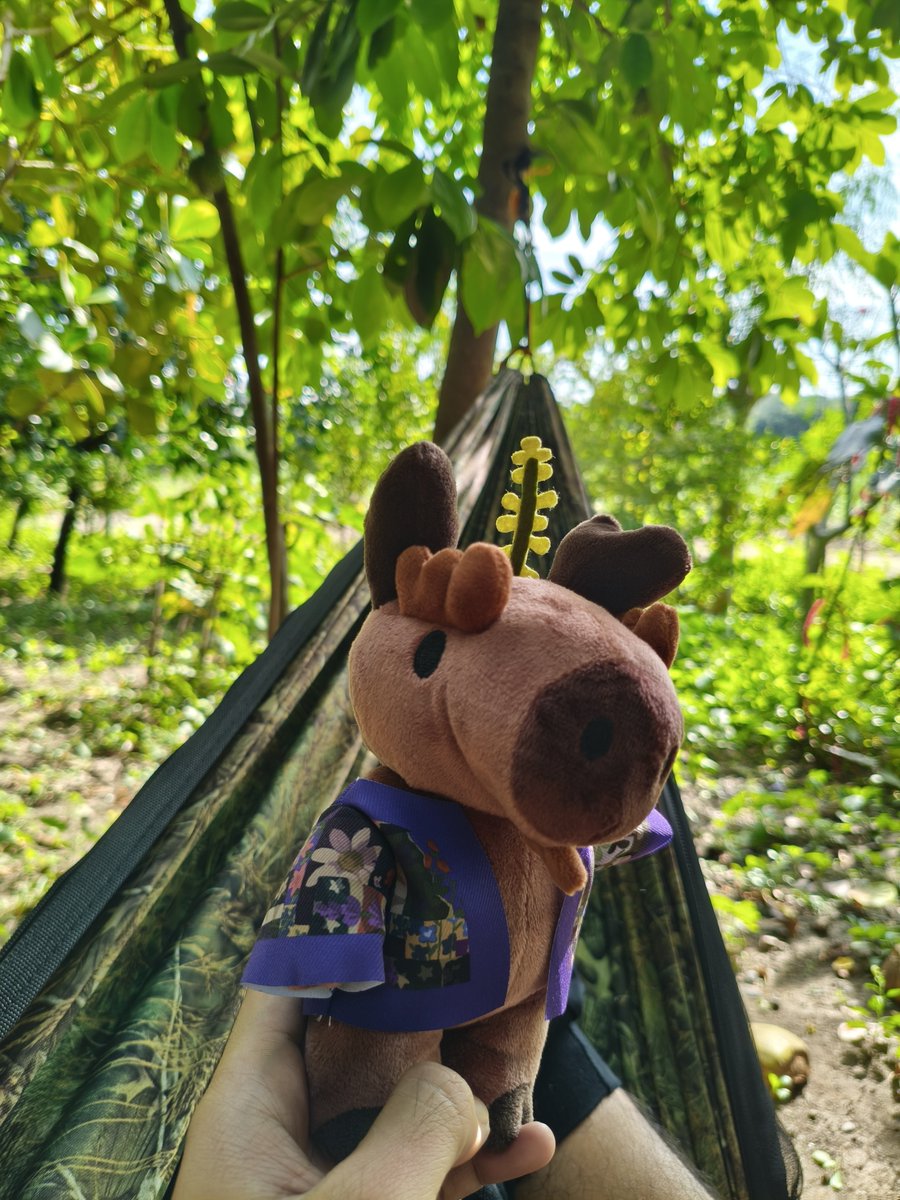 ambassador_grim's tweet photo. gm CT 🍃

flexing my plushie from @Perenimals 

let's touch some grass today https://t.co/hGlN1d33oe