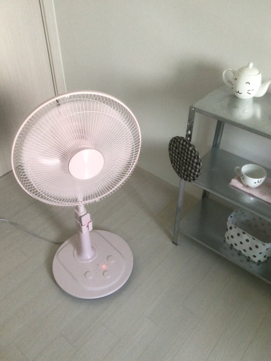mintcupcakey's tweet photo. 선풍기 문의를 많이 주셔서 남겨두어요 ~ !

브랜드 : 유니맥스
품번 : UMF-16408R-P

딸기우유색이라 진짜 예쁘고
5만 원도 안 해요.... ദ്ദി

판매하는 곳이 다양하니 품번 네이버에 검색하셔서
원하는 곳에서 구매하시면 좋을 거 같습니닷 🥟 https://t.co/zRMgdHpdHs