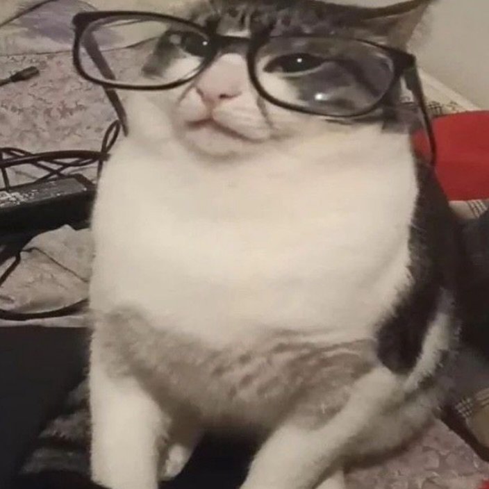 keiko🏳️‍⚧️🇲🇽 tweet media