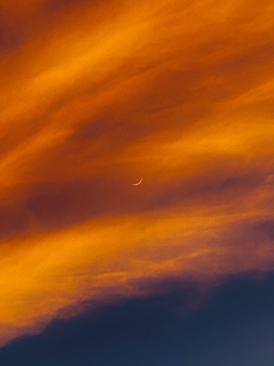 mansebanjaran's tweet photo. Today's photo challenge - colour orange !! https://t.co/6k2SQgsE4W