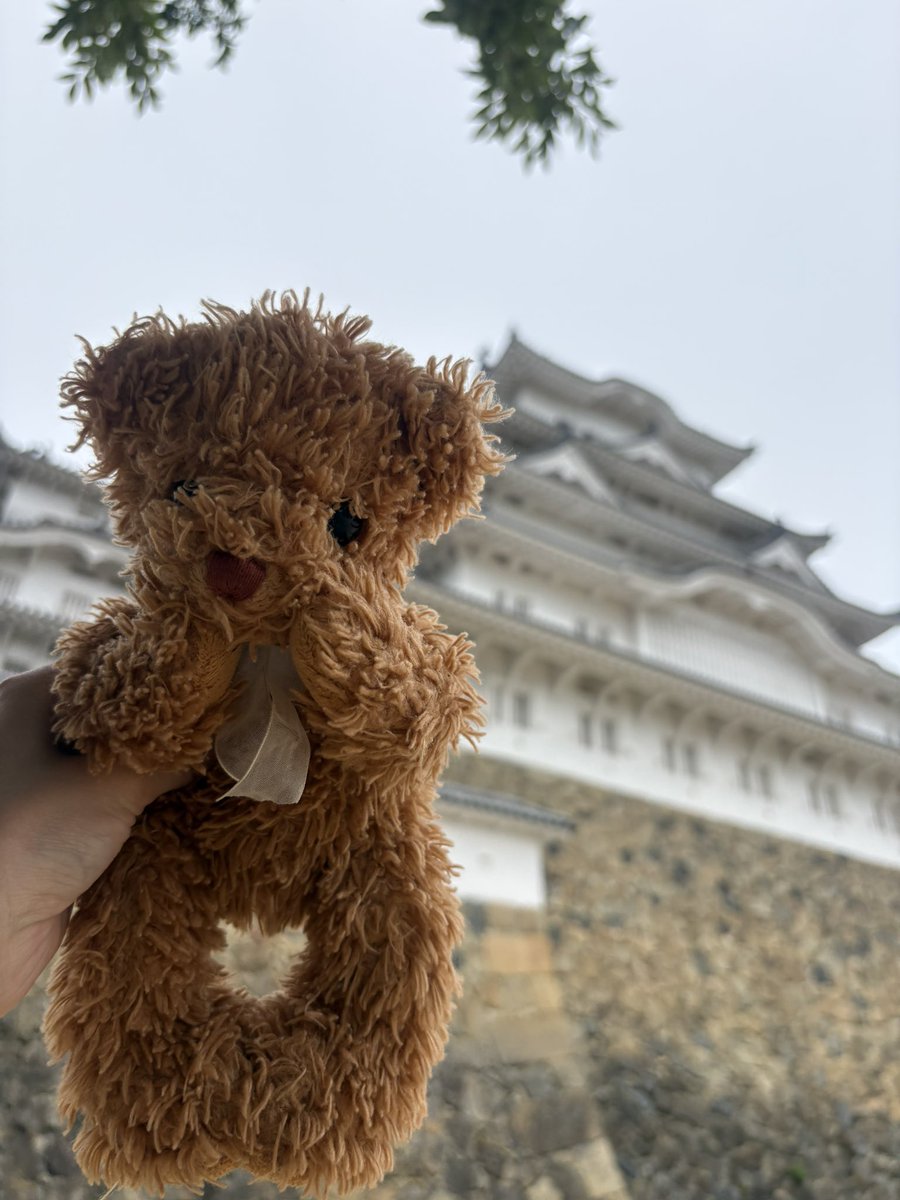 cuupenguid's tweet photo. 神戸記録
①姫路城
②ハーブ園(花がきれい)
③ハーブ園(景色がいい)
④ゾンクラ https://t.co/X0gXXaj5FA