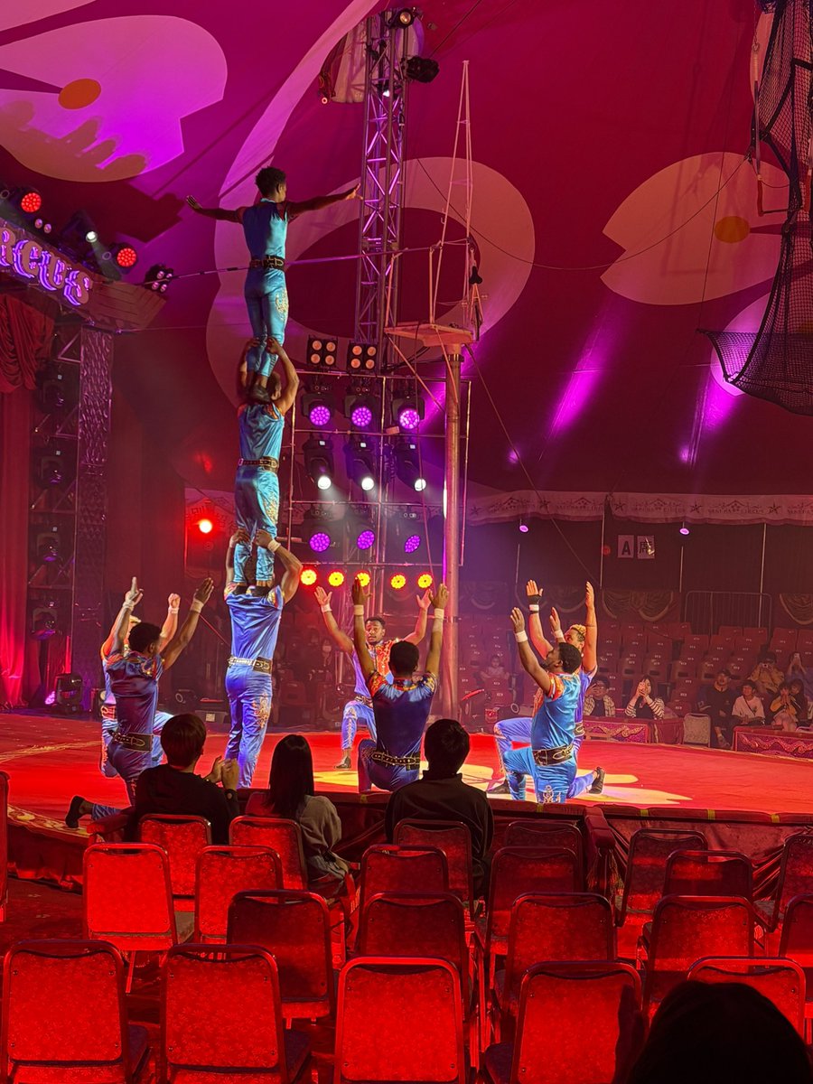 queens_sakura's tweet photo. 私の最近感動したエンタメはイオン桑名の駐車場でやってる「さくらサーカス」
実は明日までなんです〜
わたしは3回見に行きました！
まだみてない方は是非とも！！！
 #ほんサタ https://t.co/qpmS7BvHRI