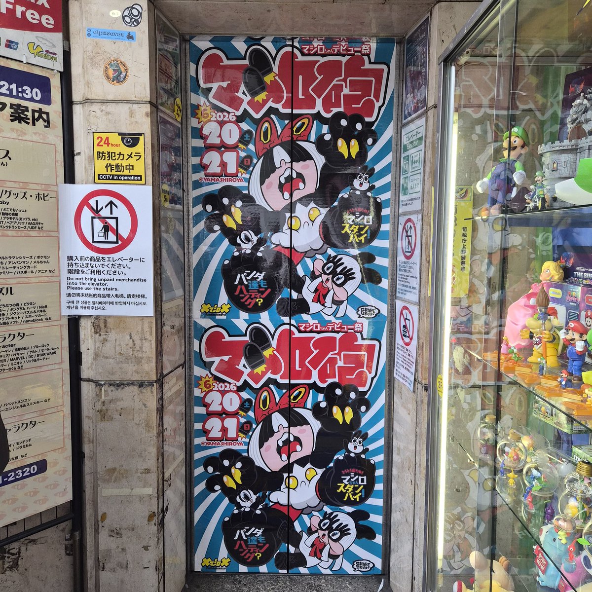 chi_chan327's tweet photo. マシロ砲行ってきた😊✌️ https://t.co/SX0Rjmzd3i