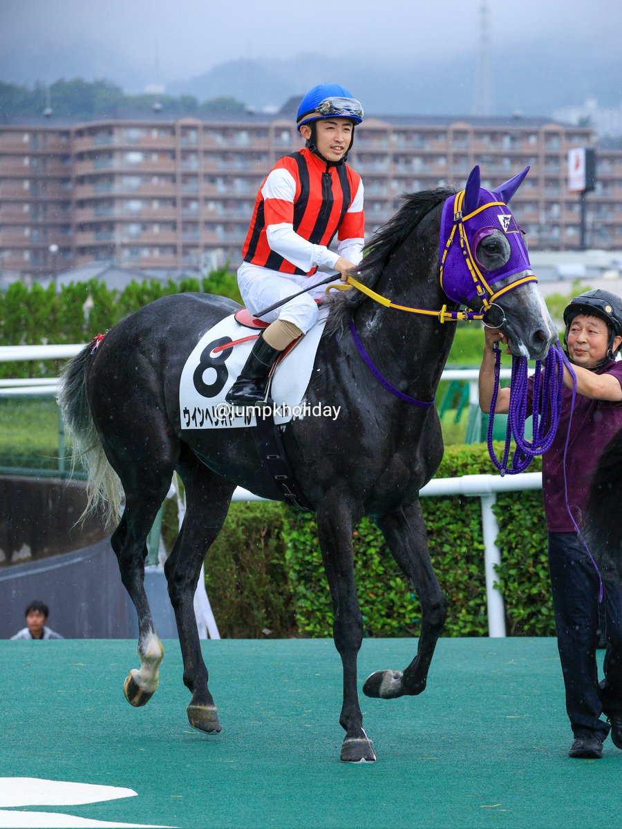 Jumpkholiday's tweet photo. 阪神7Rには一度笠松に移籍し2勝を挙げて帰ってきたゴールドシップ産駒のウインヘリオドールが出走。
人気サイドではありませんが久々の芝はどうでしょう…？
#ウインヘリオドール #ゴールドシップ産駒 https://t.co/hzR2F3eJ0C